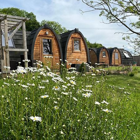 Hedgehog Glamping Pod School House Farm Hotel Leighton  Buitenkant foto