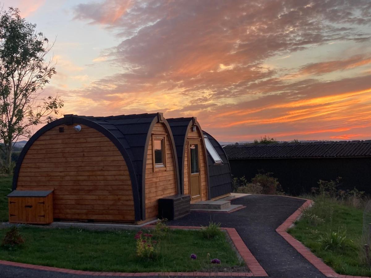 Hedgehog Glamping Pod School House Farm Hotel Leighton  Buitenkant foto