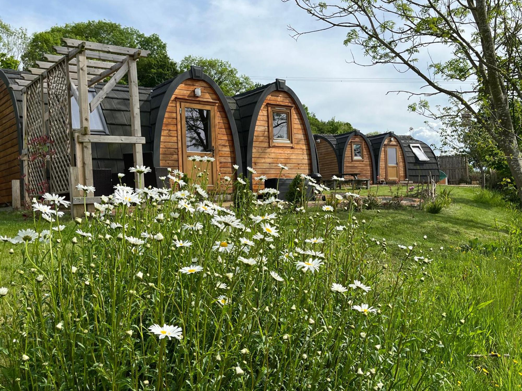 Hedgehog Glamping Pod School House Farm Hotel Leighton  Buitenkant foto